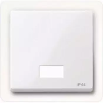 MTN432725 Клавиша с окошком для световой индикации и с полем для надписи, IP44 Merten