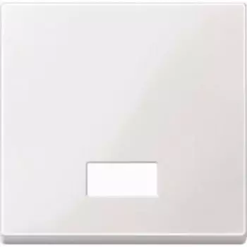 MTN432819 Клавиша с окошком для световой индикации и с полем для надписи Merten