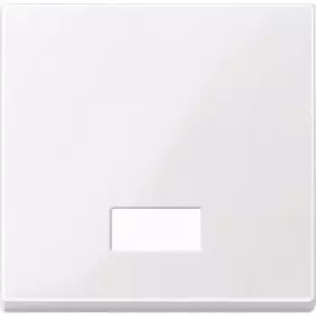 MTN432825 Клавиша с окошком для световой индикации и с полем для надписи Merten