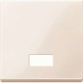 MTN432844 Клавиша с окошком для световой индикации и с полем для надписи Merten