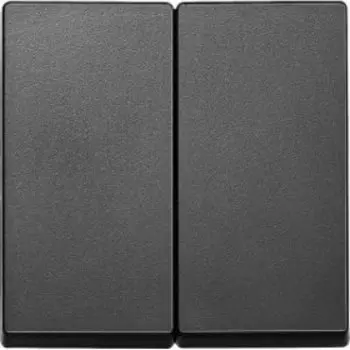 MTN433514 Клавиша x2, антрацит Merten