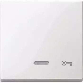 MTN435319 Клавиша с свет. индик., "ключ" Merten