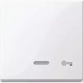MTN435325 Клавиша с свет. индик., "ключ" Merten