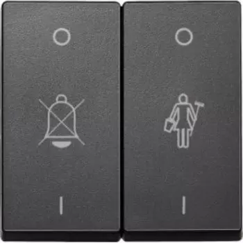 MTN435614 Клавиша x2 с надписями для горничной, антрацит Merten