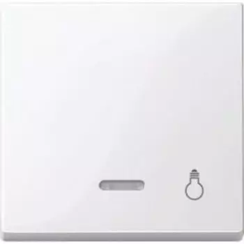 MTN435925 Клавиша с свет. индик., "свет" Merten