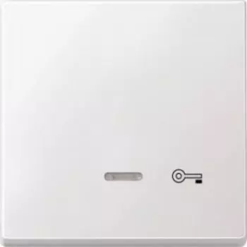 MTN437619 Клавиша с свет. индик., "дверь" Merten