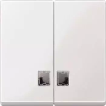 MTN438519 Двойная клавиша с окнами для симв. Merten