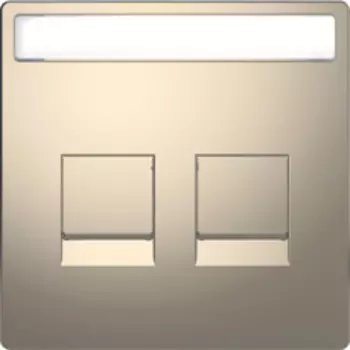 MTN4564-6050 D-life центральная накладка для 2-х модульных разъемов, никель Merten