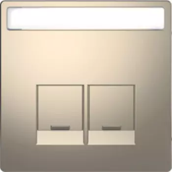 MTN4574-6050 D-life центральная накладка для 2-х модульных разъемов se, никель Merten