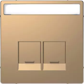 MTN4574-6051 D-life центральная накладка для 2-х модульных разъемов se, шампань Merten