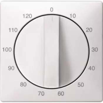 MTN538419 Центр. плата таймера 120 мин, белый Merten