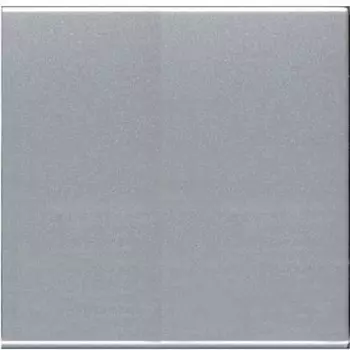 N2200 PL Заглушка 2-модульная, серия Zenit, цвет серебристый, ABB