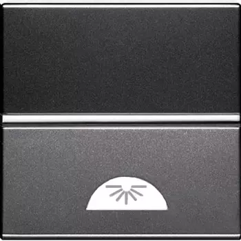 N2204.2 AN Механизм 1-клавишной кнопки с клавишей и символом "СВЕТ", 2-модульный, серия Zenit, цвет антрацит, ABB