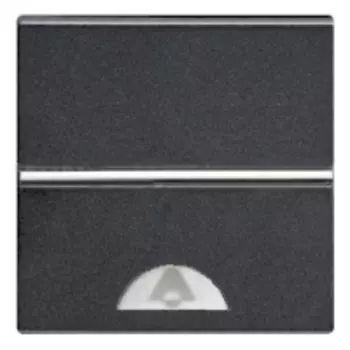 N2204 AN Механизм 1-клавишной кнопки с клавишей и символом "ЗВОНОК", 2-модульный, серия Zenit, цвет антрацит, ABB