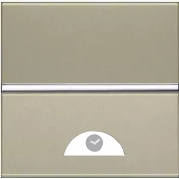 N2262.1 CV Механизм электронного выключателя на МОПТ с таймером 10 сек - 10 мин., 40-500 Вт, 2-модульный, серия Zenit, цвет шампань, ABB