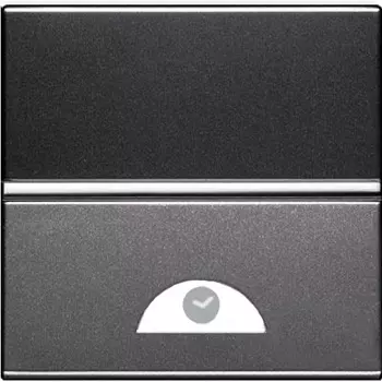 N2262 AN Механизм электронного выключателя с таймером 9 сек - 240 сек, 1000 Вт, 2-модульный, серия Zenit, цвет антрацит, ABB