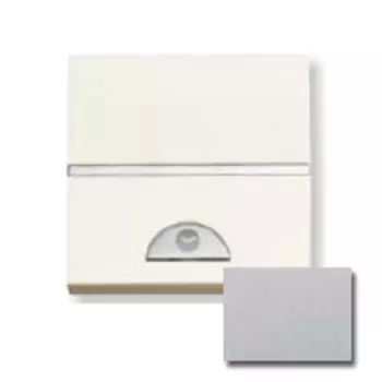 N2262 PL Механизм электронного выключателя с таймером 9 сек - 240 сек, 1000 Вт, 2-модульный, серия Zenit, цвет серебристый, ABB