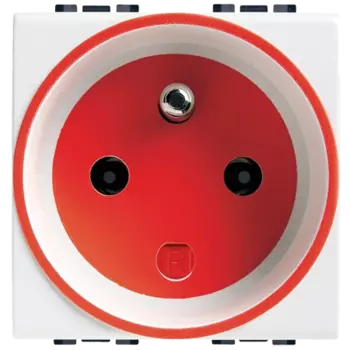 N4146 Розетка 2P специальная Bticino