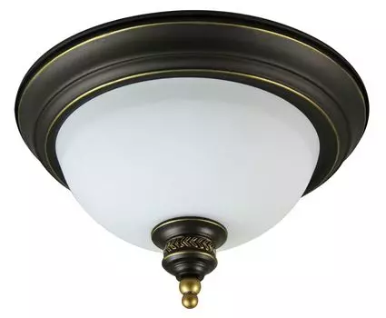 Накладной светильник Arte Lamp Bonito A9518PL-2BA