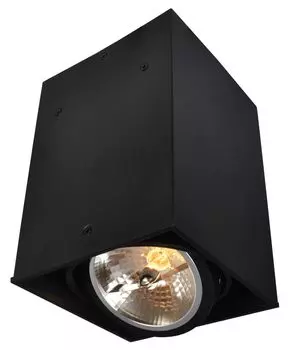 Накладной светильник Arte Lamp Cardani Grande A5936PL-1BK