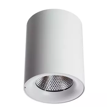 Накладной светильник Arte Lamp Facile A5118PL-1WH