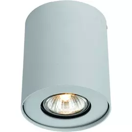 Накладной светильник Arte Lamp Falcon A5633PL-1WH