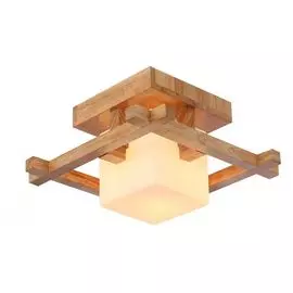 Накладной светильник Arte Lamp Woods A8252PL-1BR