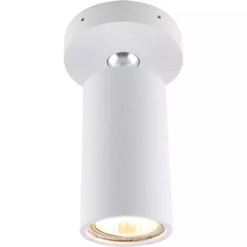 Накладной светильник Divinare Gavroche Volta 1968/03 PL-1