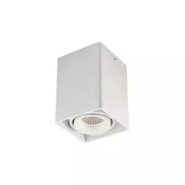 Накладной светильник Donolux DL18611/01WW-SQ White