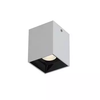 Накладной светильник Favourite Oppositum 2405-1U
