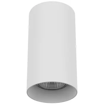 Накладной светильник Lightstar Rullo 216486