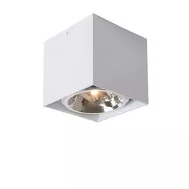 Накладной светильник Lucide Dialo 09911/12/31