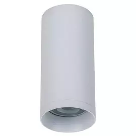 Накладной светильник Maytoni Alfa C010CL-01W
