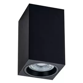 Накладной светильник Maytoni Alfa C011CL-01B