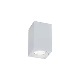 Накладной светильник Maytoni Alfa C011CL-01W