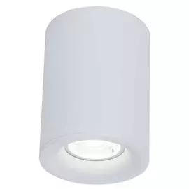 Накладной светильник Maytoni Alfa C012CL-01W