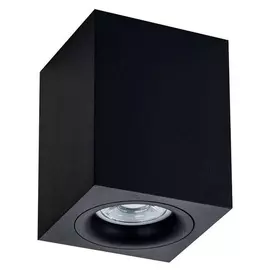 Накладной светильник Maytoni Alfa C013CL-01B