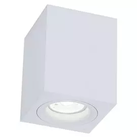 Накладной светильник Maytoni Alfa C013CL-01W