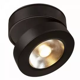 Накладной светильник Maytoni Alivar C022CL-L12B