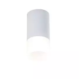 Накладной светильник Maytoni Pauline C007CW-01W