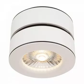 Накладной светильник Maytoni Treviso C023CL-L20W