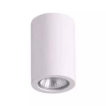 Накладной светильник Odeon Light Gips 3553/1C
