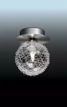 Накладной светильник Odeon Light Roxby 2460/1C