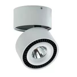 Накладной светильник RegenBogen Life Круз 637016601