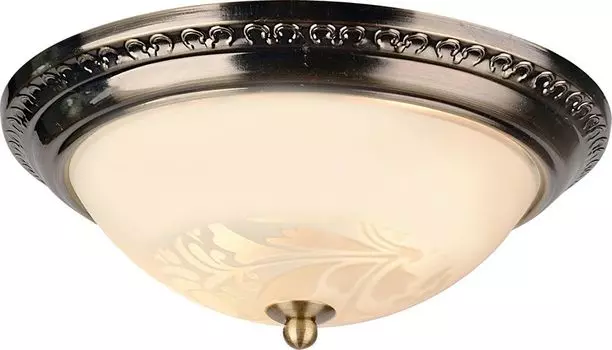 Настенно-потолочный светильник Arte Lamp Alta A3009PL-2AB