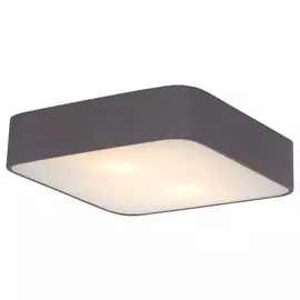 Настенно-потолочный светильник Arte Lamp Cosmopolitan A7210PL-2BK