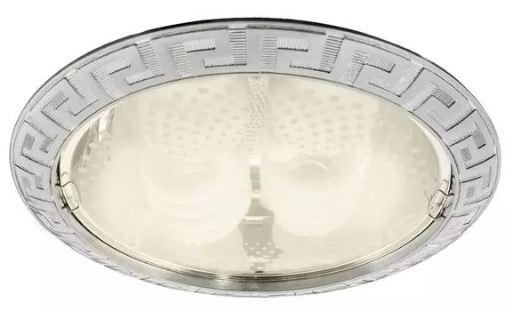 Настенно-потолочный светильник Arte Lamp Downlights A8015PL-2SS