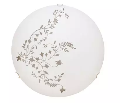Настенно-потолочный светильник Arte Lamp Ornament A3820PL-1CC