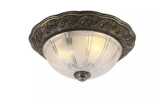 Настенно-потолочный светильник Arte Lamp Piatti A8003PL-2AB