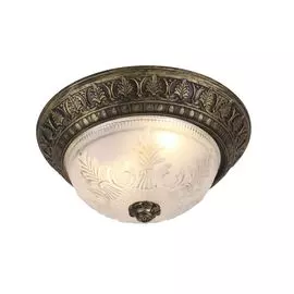 Настенно-потолочный светильник Arte Lamp Piatti A8005PL-2BN